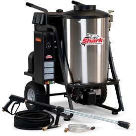 Steam cleaner rentals for southeast WI