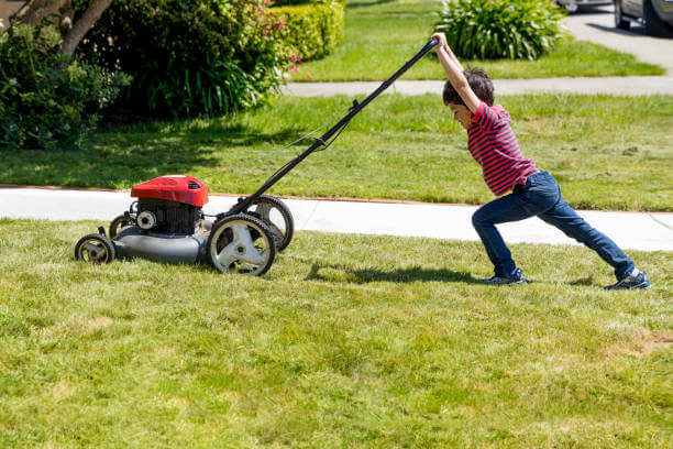 Rent tools & equipment for spring cleaning in WI